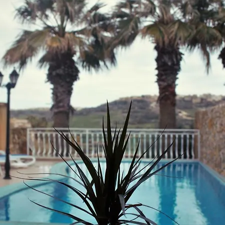 Iris * Ghasri (Gozo)
